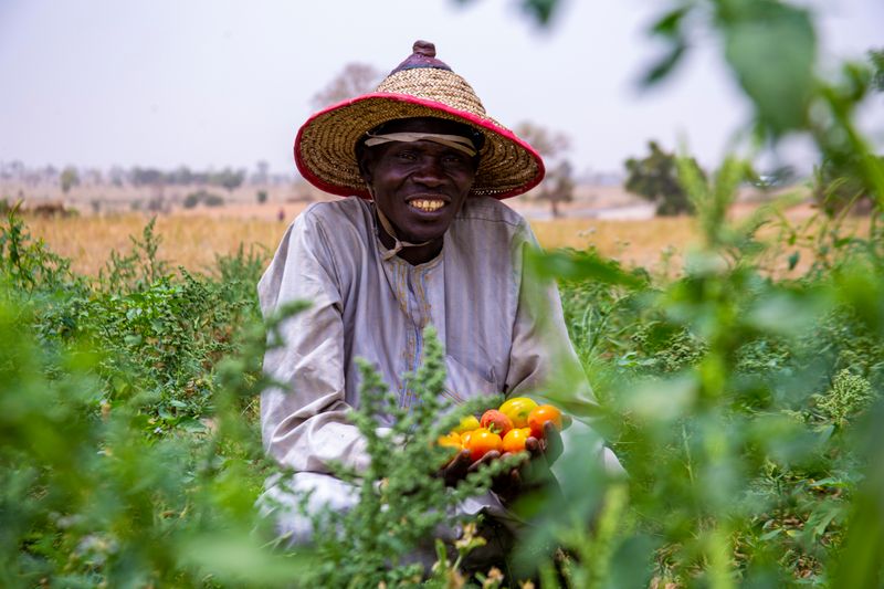 Tokenisation agricole et traçabilité on-chain